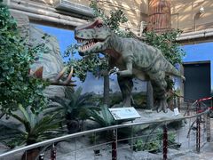 -国家自然博物馆