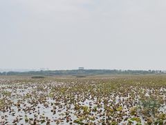 -天津东丽湖风景区