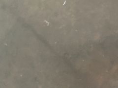 -陆地游轮吉林神农温泉
