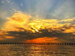 -宝安西湾红树林湿地公园