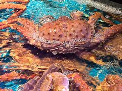 -忆江南·临江鱼馆