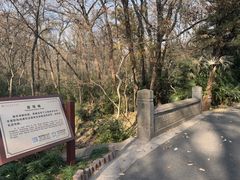 -灵谷景区