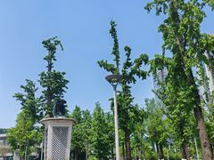 -百林公园-两江幸福广场