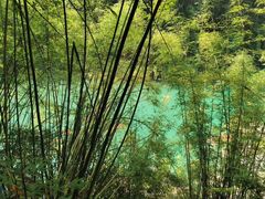 -阿依河景区