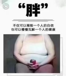 -香薇妮丝·定制减肥·身材管理
