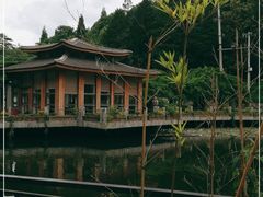 -贵州省植物园