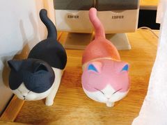 -猫十亿·布偶金渐层·曼基康矮脚猫舍(青年路店)