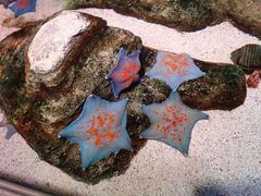 -沈阳海洋探索中心