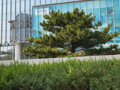 -西门子中国有限公司(阜通东大街店)