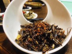 -园林美食城·本土农家菜(杨和镇店)