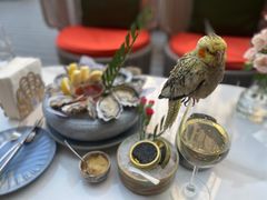 -斯普汇生蚝牛排馆(中骏世界城店)