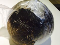 -志龙皇冠吃货椰子铺