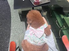 -Ann COFFEE(来福士店)