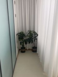 点击看大图 -薇兰专业脱毛连锁机构