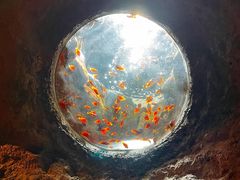 -珠海长隆海洋王国