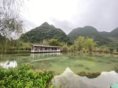 -靖西鹅泉风景区