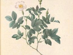 -八哥美术·成人美术画室(总校区)