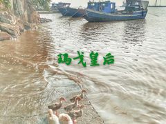 -汤山公园