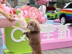 -首开·龙湖成都西宸天街