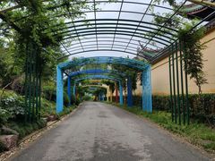 -无锡梅园公园