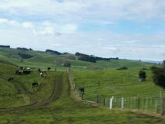 -怀托摩萤火虫洞