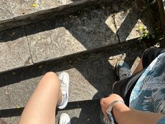 -南宁花花大世界景区