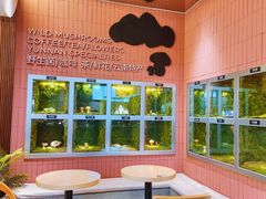 -芸山季·云南野生菌火锅(宝能环球汇店)