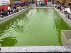 -DGE季风钓虾营地·团建·聚会