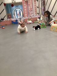 -奈尔宝·儿童乐园·亲子餐厅(华采天地店)