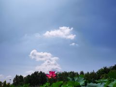 -马家湾湿地公园