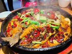 -老板恋上鱼(高新万达店)
