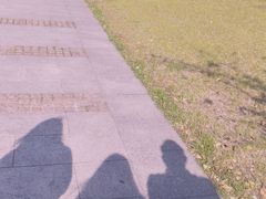 -九里河湿地公园