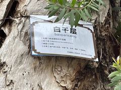 -龙川佗城