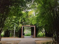-花溪公园
