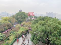 -黄鹤楼公园(黄鹤楼)