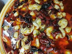 -蜀都丰 正宗水煮鱼(建德天城店)