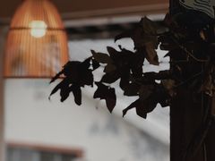 -竹子咖啡bamboo coffee
