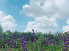 -金陵矩阵(聚宝山公园店)