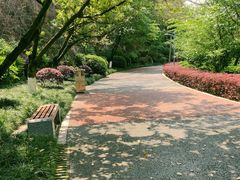 -百林公园-两江幸福广场