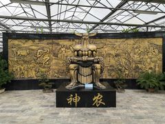 -兰陵国家农业公园