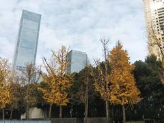 -重庆市江北嘴中央商务区中央公园