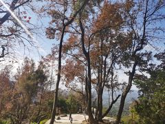 -广州市石门国家森林公园