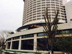 -山东大厦