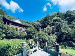 -十八棵（老龙井）御茶园(老龙井店)