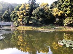 -深圳国际园林花卉博览园