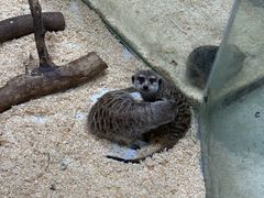 -上海大自然野生昆虫馆(东方明珠·爬宠昆虫探索中心)