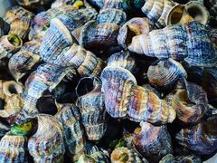 -芦潮港集贸市场