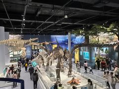 -国家自然博物馆