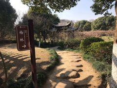 -白马涧龙池景区