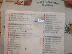 -杭州开元森泊度假乐园